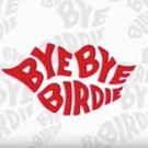 Harvey Fierstein Details Changes Made to NBC's BYE BYE BIRDIE LIVE Video