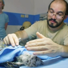 THIRTEEN's NATURE Presents 'Jungle Animal Hospital', 5/18