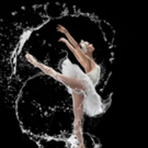 Colorado Ballet Begins 56th Season With SWAN LAKE, 10/7 Video