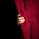 Lakewood Playhouse to Host Preview Party & Fundraiser for Season 79