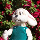 Great Arizona Puppet Theater Opens JACK RABBIT AND THE EASTER BASKET Today