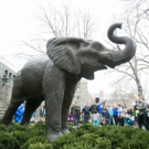 BWW Blog: Christopher Panella - Applying for College and Choosing Your Path