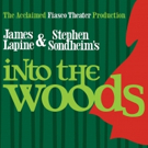  INTO THE WOODS at The Kennedy Center Video