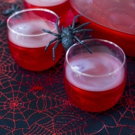 VINIQ for Exciting Halloween Cocktails