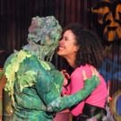 Photo Flash: First Look at THE TOXIC AVENGER at Horizon Theatre Video