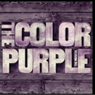 THE COLOR PURPLE Wins 2016 Tony Award for Best Revival of a Musical Video