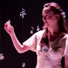 BWW Review: THE GLASS MENAGERIE at Denver Center Theatre Company Video