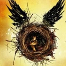 J.K. Rowling Says West End's HARRY POTTER AND THE CURSED CHILD Will Not Hit the Big S Video