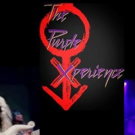 Prince Tribute Band The Purple Xperience to Perform at Four Winds New Buffalo This Ju Video