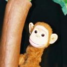 Great AZ Puppet Theater to Present THE MONKEY AND THE PIRATE