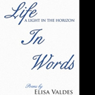 Elisa Valdes Pens LIFE IN WORDS