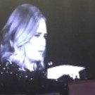 VIDEO: Adele Calls Out Rude Fan for Filming During Her Live Concert Video