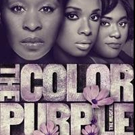 Broadway's THE COLOR PURPLE Sets Rush Policy; Previews Start Tomorrow! Video