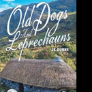 JK Dunne Pens OLD DOGS AND LEPRECHAUNS