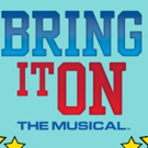BRING IT ON Brings School Spirit to Art House!