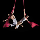 Photo Flash: Sneak Peek - CIRQUE DE LA SYMPHONIE Soars Into the Ohio Theatre