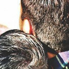 OnStage Playhouse presents NEXT FALL