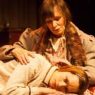 Greenway Arts Alliance Extends THE GLASS MENAGERIE Through 6/28 Video