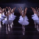 State Ballet Theatre of Russia's SWAN LAKE Coming to Hershey Theatre Video