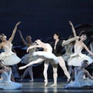 BWW Dance Review: American Ballet Theatre's SWAN LAKE