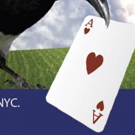 Chronicle Theatricals to Present Staged Reading of THE MAGPIE TREE Video