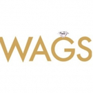 E! Expands Popular 'Wags' Franchise with New Series WAGS ATLANTA Video