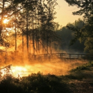 Jewish Community Center to Host Artist's Reception for Photographer Joe Piniewski