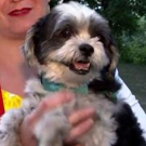 VIDEO: SYLVIA Celebrates National Dog Week At Central Park Video