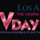 Film & TV Stars Perform THE VAGINA MONOLOGUES to Benefit V-Day, Beginning Tonight Video