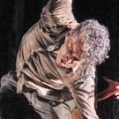 BWW Review: JAMES THIEREE - COMPAGNIE DU HANNETON, THE TOAD KNEW at Sadler's Wells