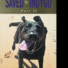 W.H. Kangas Pens SAVED BY INDYGO