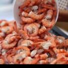 Seafood Festivals Coming to the Jersey Shore