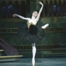 BWW Reviews: American Ballet Theatre's 'Swan Lake' Still Special
