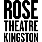Rose Theatre Kingston Announces Casting for GOOD CANARY Video