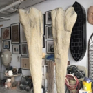 Dumbo Improvement District Presents Leonard Ursachi's DRIFT