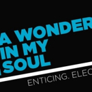 Victory Gardens to Stage World Premiere of Marcus Gardley's A WONDER IN MY SOUL