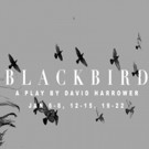 South Stream Productions to Present BLACKBIRD Video