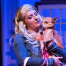 BWW Review: LEGALLY BLONDE THE MUSICAL - To Miss This Would Be Criminal