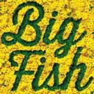 Imagination Stage's 2015-16 Fall Semester to Include BIG FISH & More Video