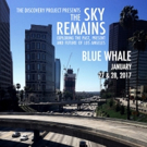 Josh Nelson Discovery Project Presents THE SKY REMAINS Video