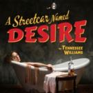 Gamm Opens Season with A STREETCAR NAMED DESIRE, Now thru 10/18 Video