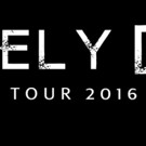 Steely Dan Announces Spring Tour Dates & Summer Tour with Steve Winwood Video