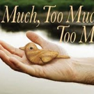 Williamston Theatre to Stage TOO MUCH, TOO MUCH, TOO MANY, 1/28-2/28 Video