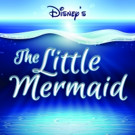 Millbrook Playhouse to Present Disney's THE LITTLE MERMAID Video