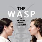Golden Jam Productions Sets Australian Premiere of THE WASP For Sydney Fringe Video