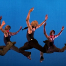 BWW Review: Celebrating Ailey's Legacy with Vibrant Productions by ALVIN AILEY AMERIC Video