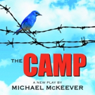 Lynn University to Stage Readings of Three New Plays by Jan McArt in 2017