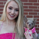 The School of Theatre at Florida State to Stage LEGALLY BLONDE Video