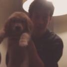 Curious Incident of the Lion King? Alex Sharp Plays Rafiki with His New Puppy Friend Video