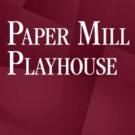 Paper Mill Playhouse Theatre School Sets New Master Class Series Video